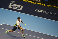 Small andujar