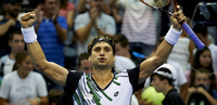Small ferrer alta