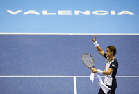 Small ferrer alta