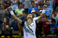 Small ferrer alta