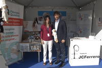 Small fundacion alta