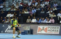 Small photo28