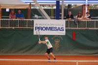 Small dsc 0353