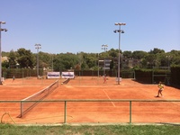 Small valencia 3