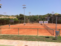 Small valencia 4