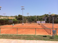 Small valencia 5