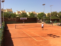 Small valencia 11