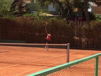 Small valencia 12