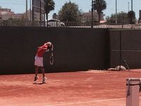 Small valencia 29